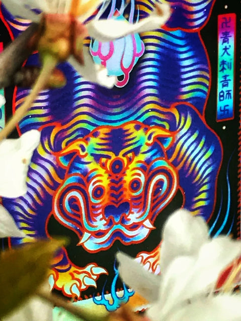 Framed - Tibetan Tiger (Holographic)