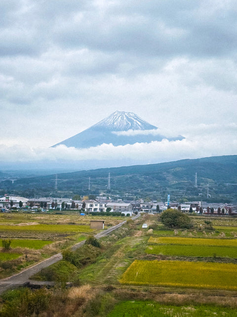 “Discover Japan through the words of the Japanese themselves”