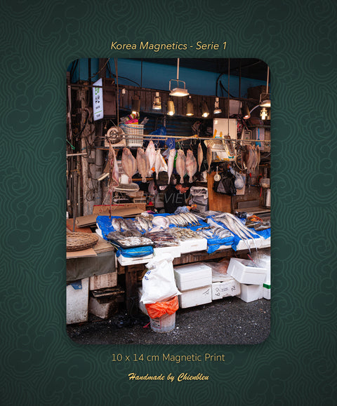 Korea Magnetics - 019 (Serie 1) 10x14cm